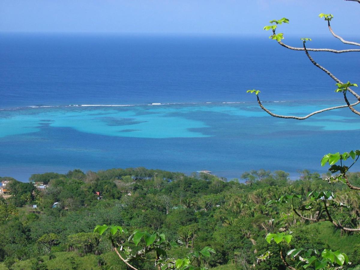 Roatan Bed & Breakfast Apartments 西区 外观 照片