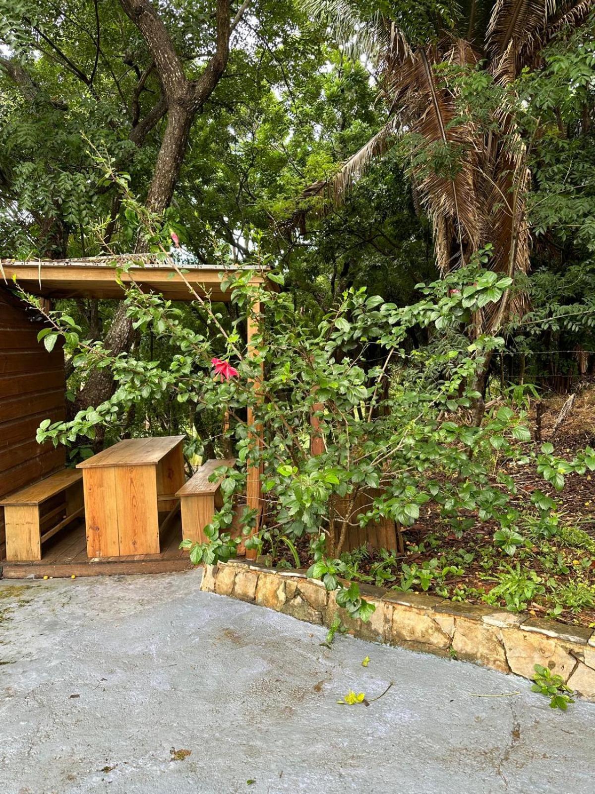 Roatan Bed & Breakfast Apartments 西区 外观 照片
