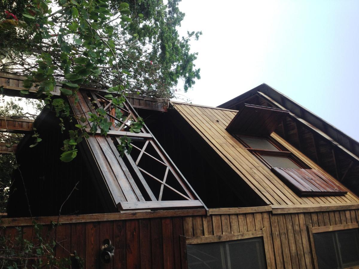 Roatan Bed & Breakfast Apartments 西区 外观 照片